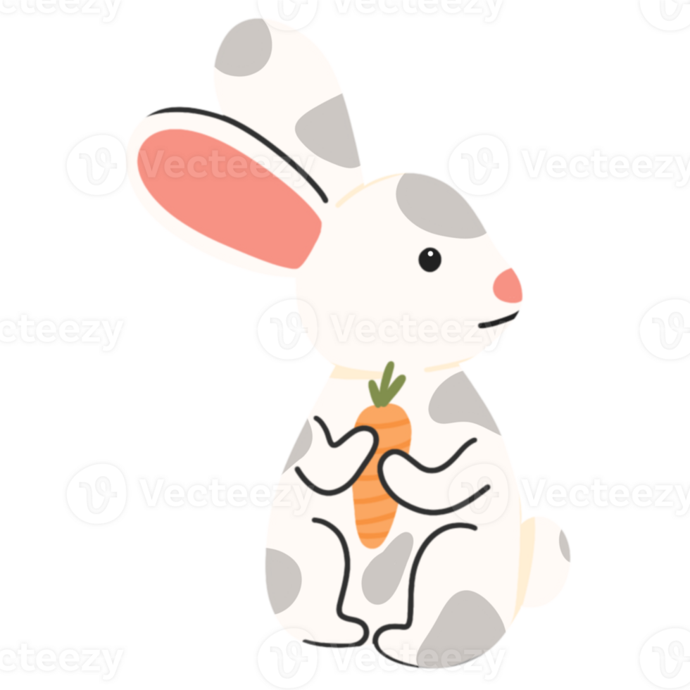 Cute rabbit with carrots png