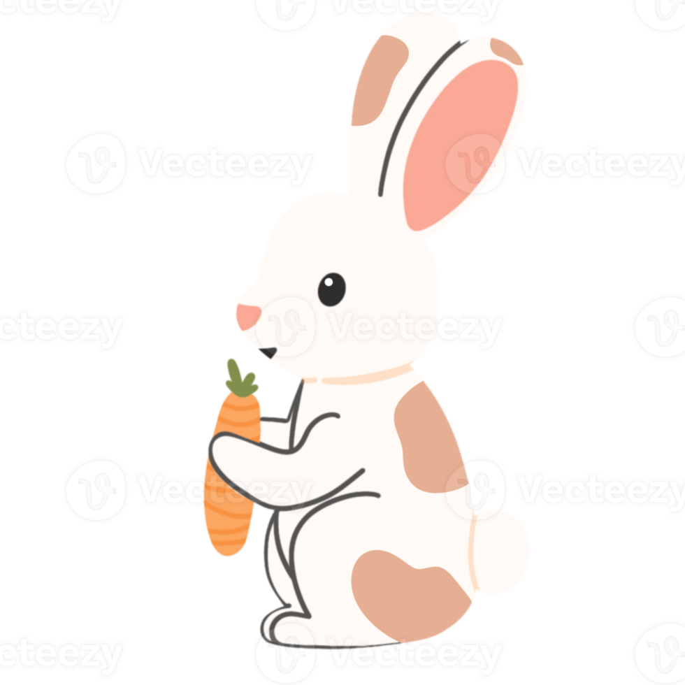Rabbit with carrots icon png