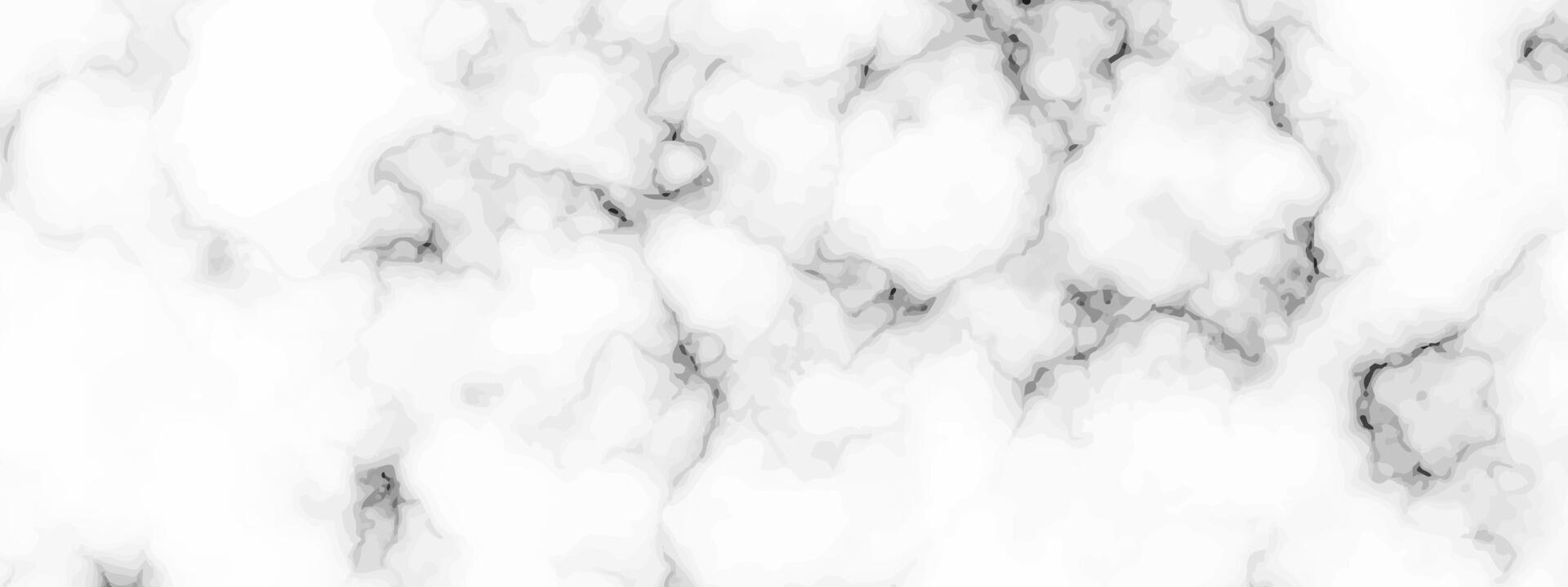 White marble texture background vector