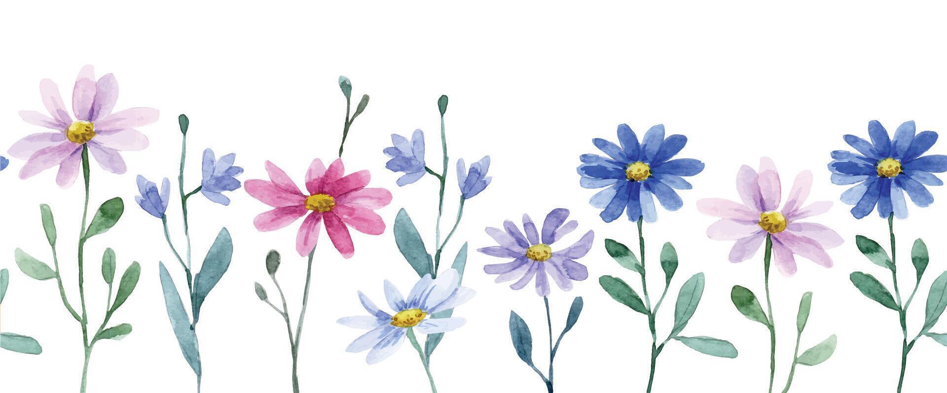 seamless border with wildflowers daisy. watercolor drawing. vector