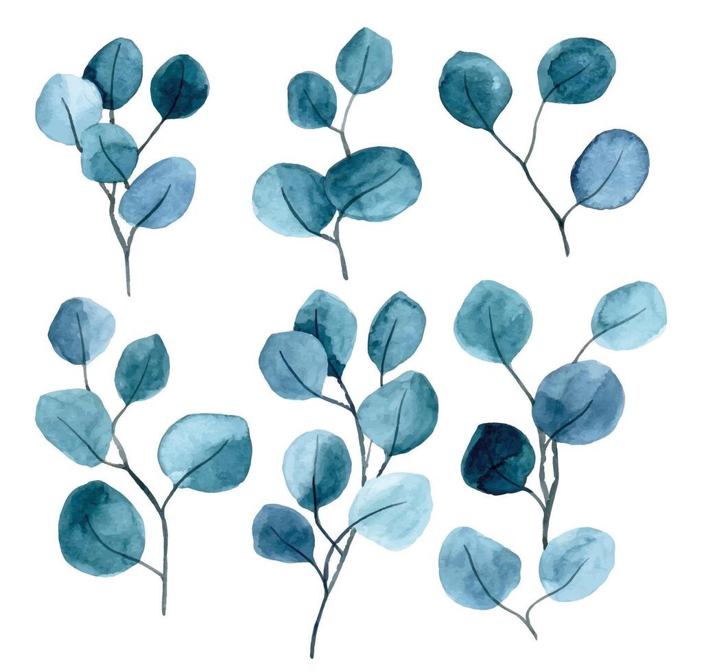 set of watercolor eucalyptus leaves on a white background vector