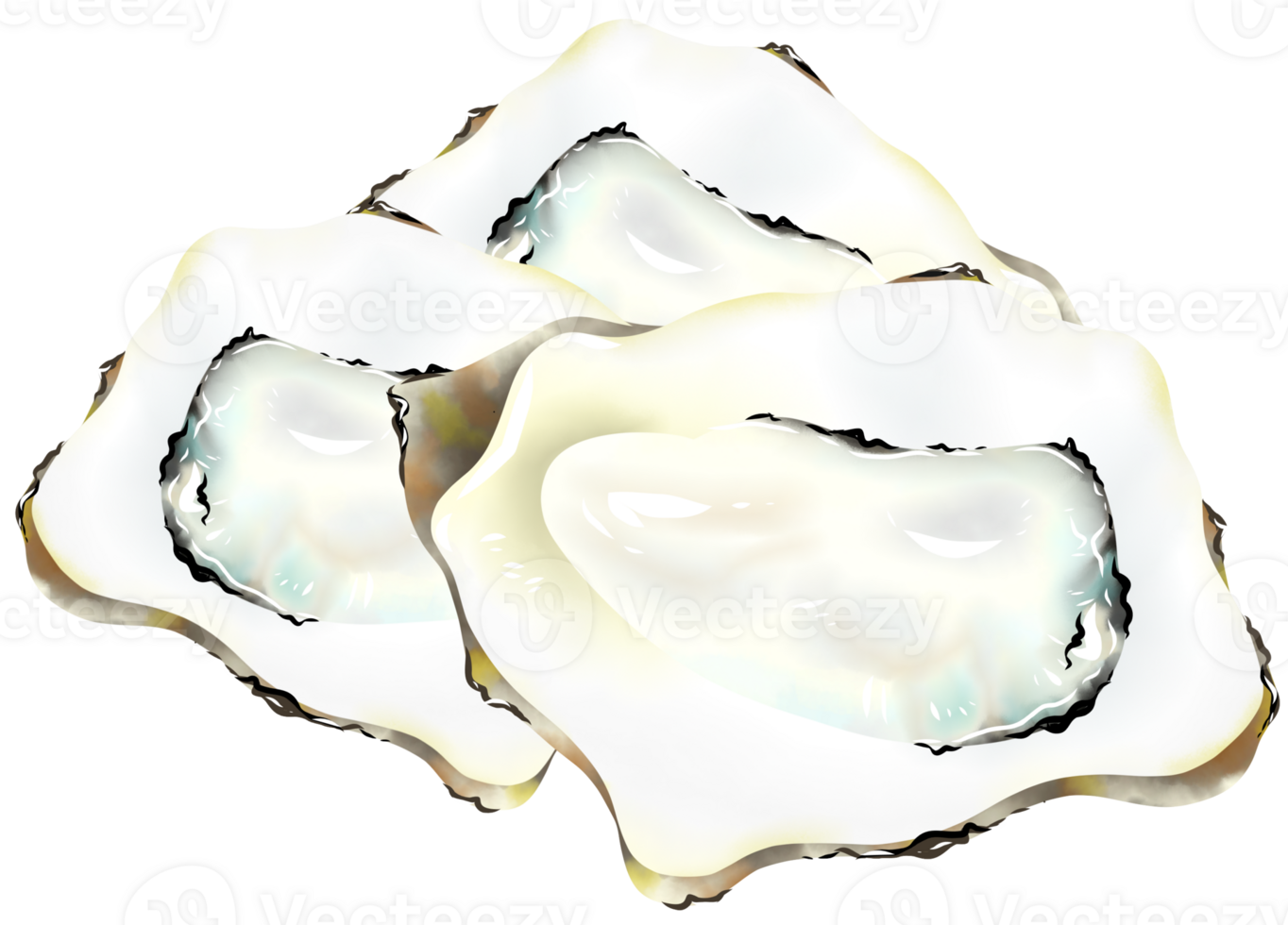 Oysters are a seafood that is low in fat and calories png