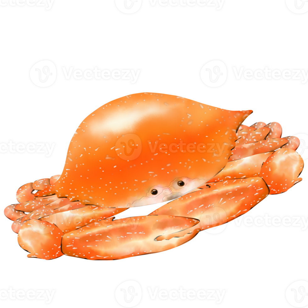 Grilled blue crab is a favorite menu of many people png