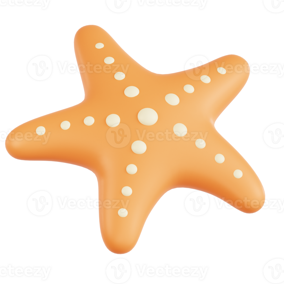 Starfish 3D Illustration png