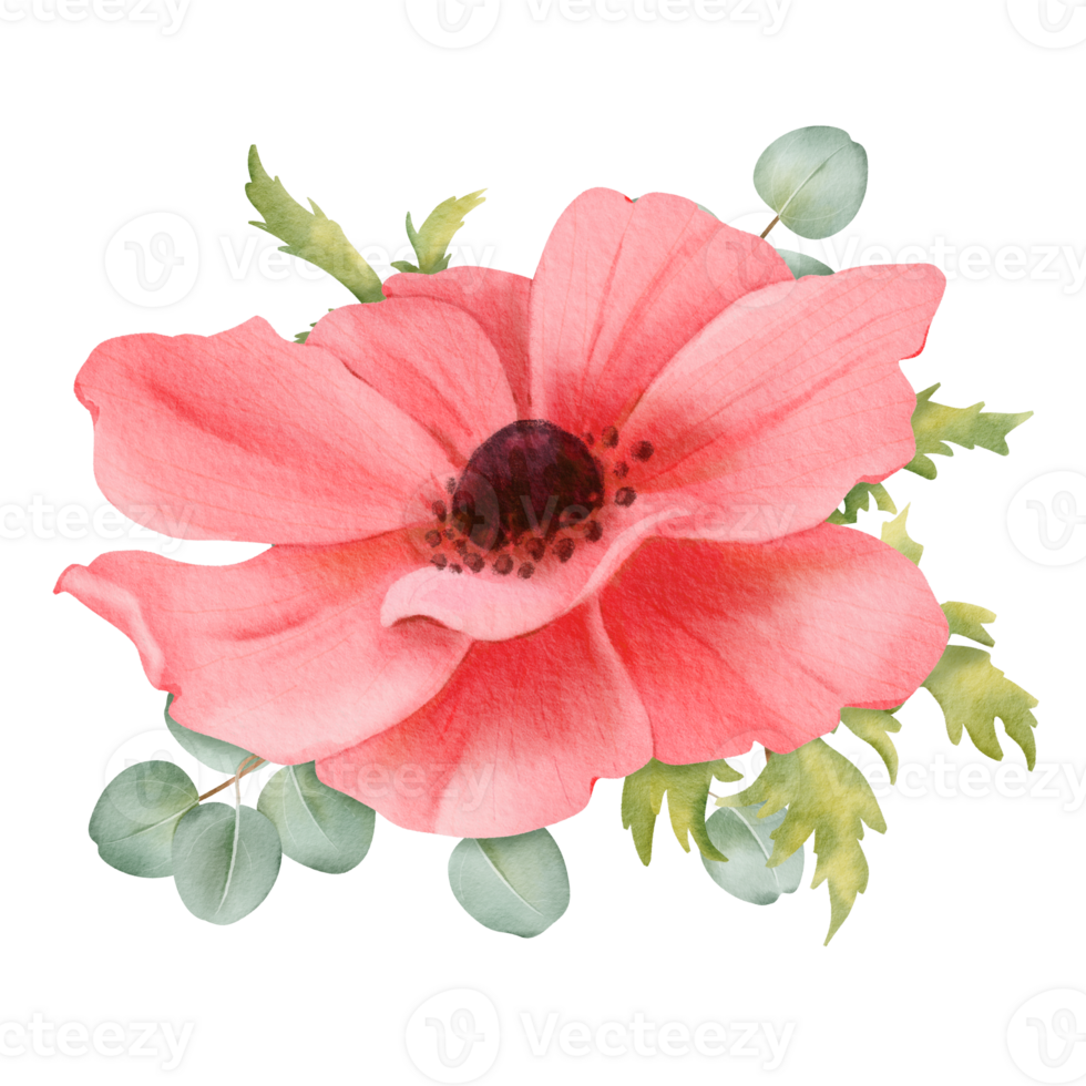 A watercolor floral composition featuring pink anemones, fresh greenery, and eucalyptus leaves. isolated object for use in design projects, wedding invitations, greeting cards or digital illustrations png