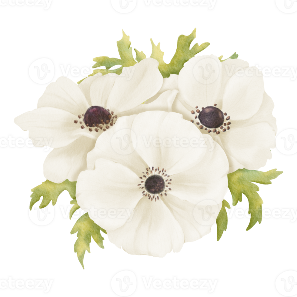 A tender watercolor depiction showcasing a bouquet of white anemones and fresh greenery. Suitable for a wide range of design projects including floral arrangements, boutonnieres, or digital graphics png