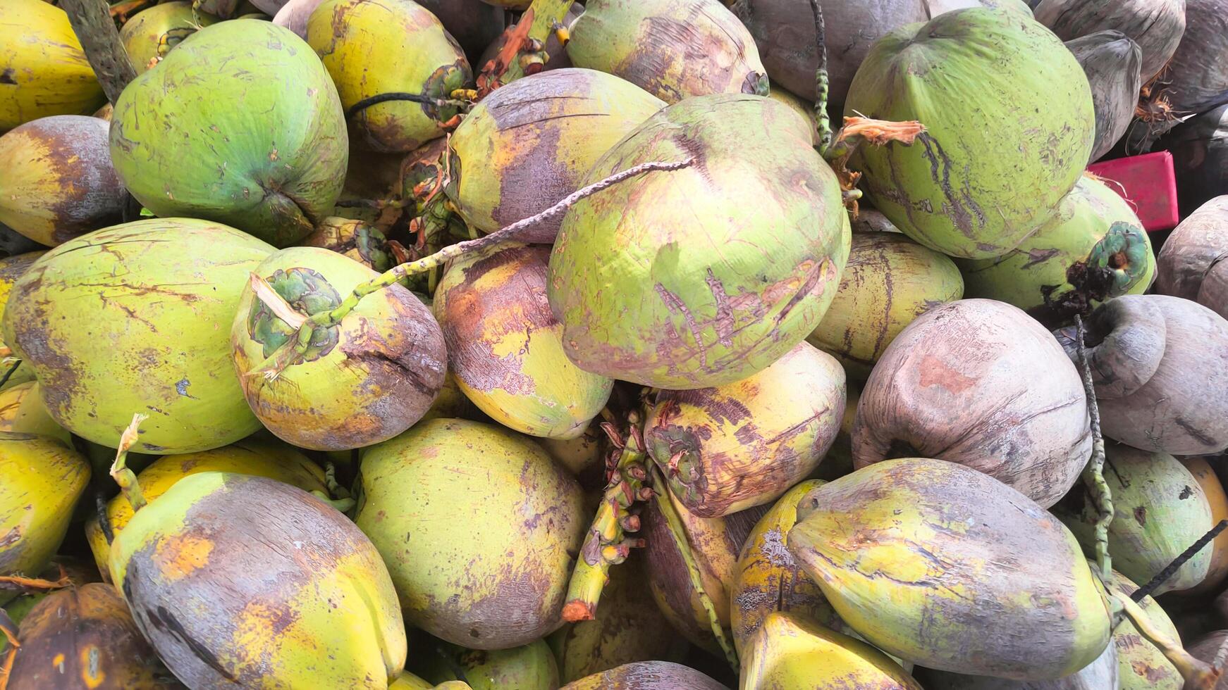 un pila de antiguo cocos es adecuado para un texturizado antecedentes foto