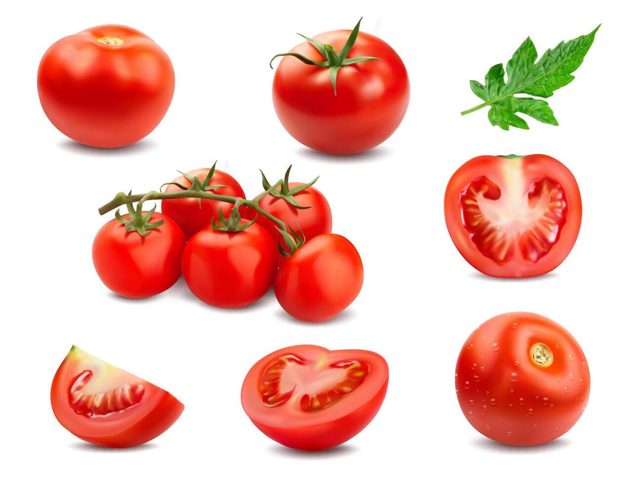 Realistic ripe raw tomato, half and slices 3d set vector