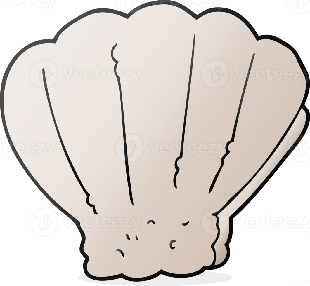 hand drawn cartoon shell png