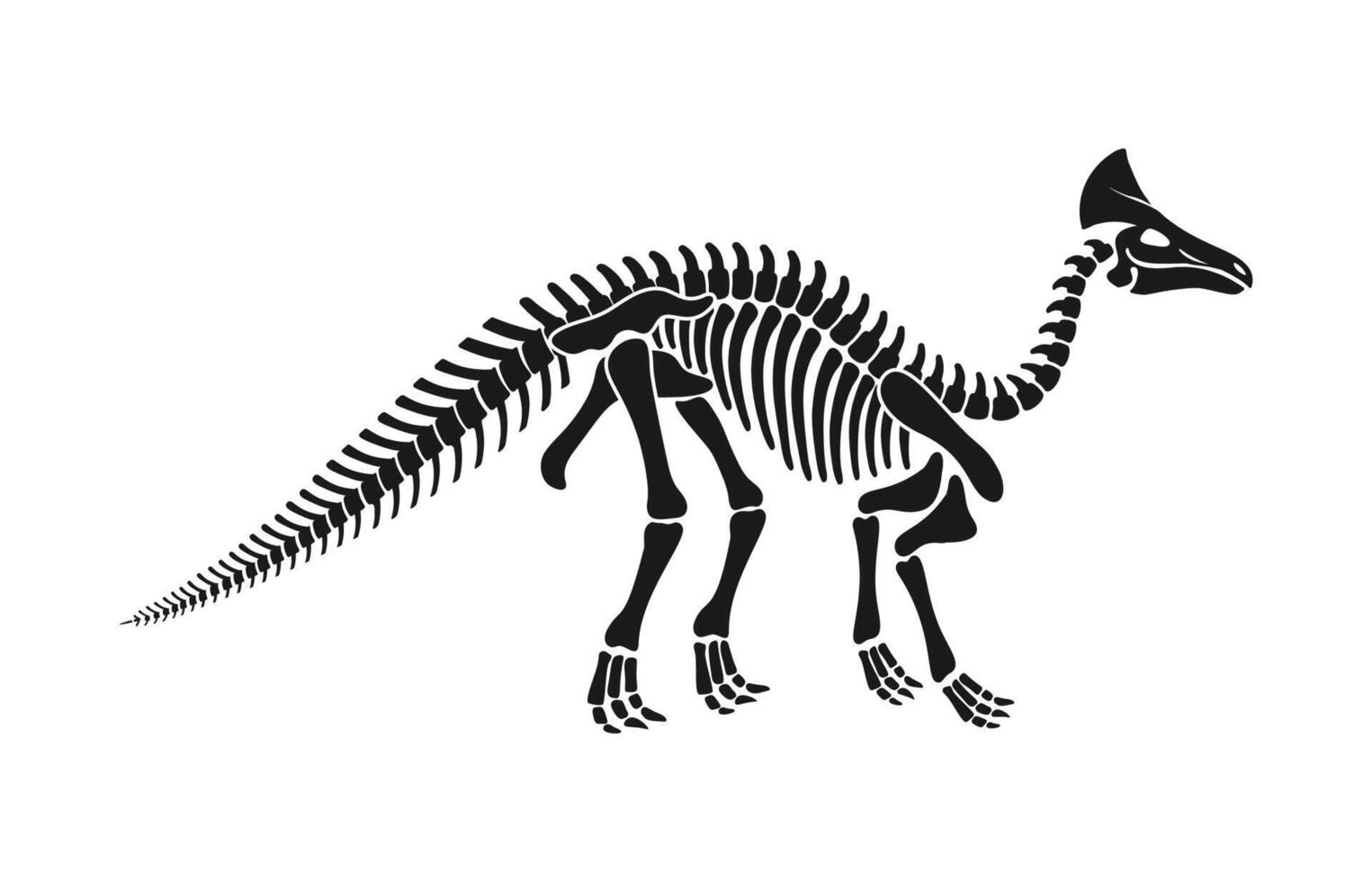 Olorotitan dinosaur skeleton fossil, dino bones vector