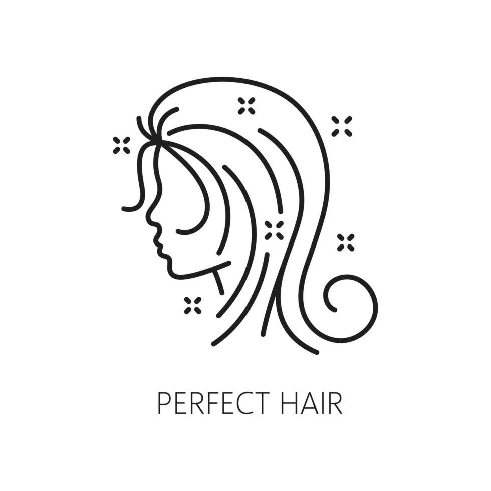 Hair health, care and styling thin line icon vector