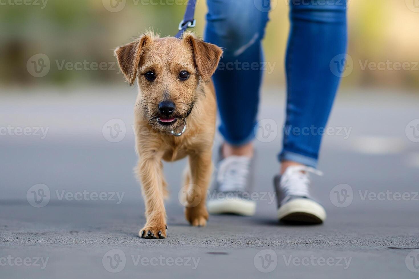 ai generado linda perro en un llanura antecedentes quiere a caminar con joven mujer foto