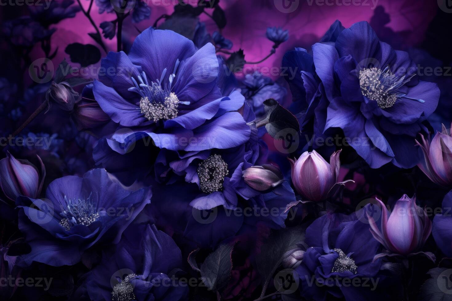 AI generated Vibrant Purple flowers closeup dramatic. Generate Ai photo