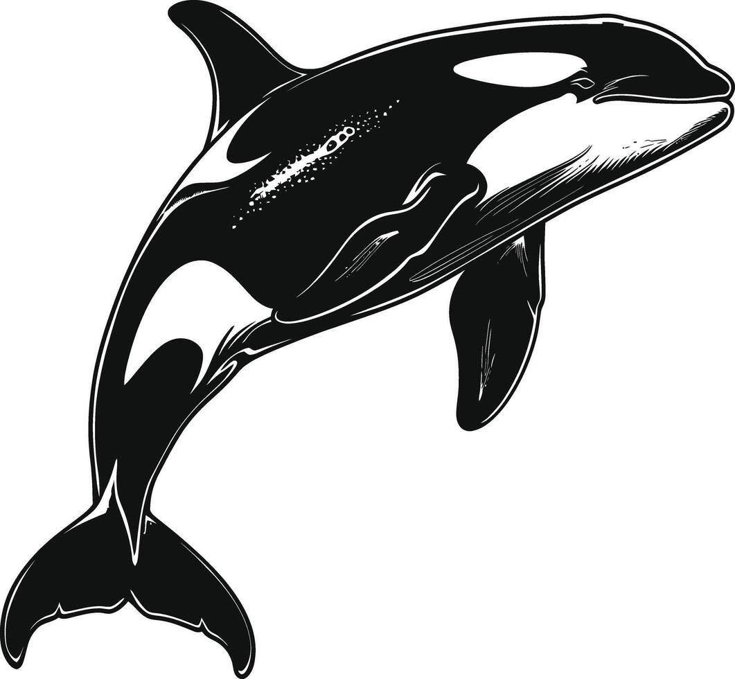 ai generado silueta el orca o asesino ballena negro color solamente vector