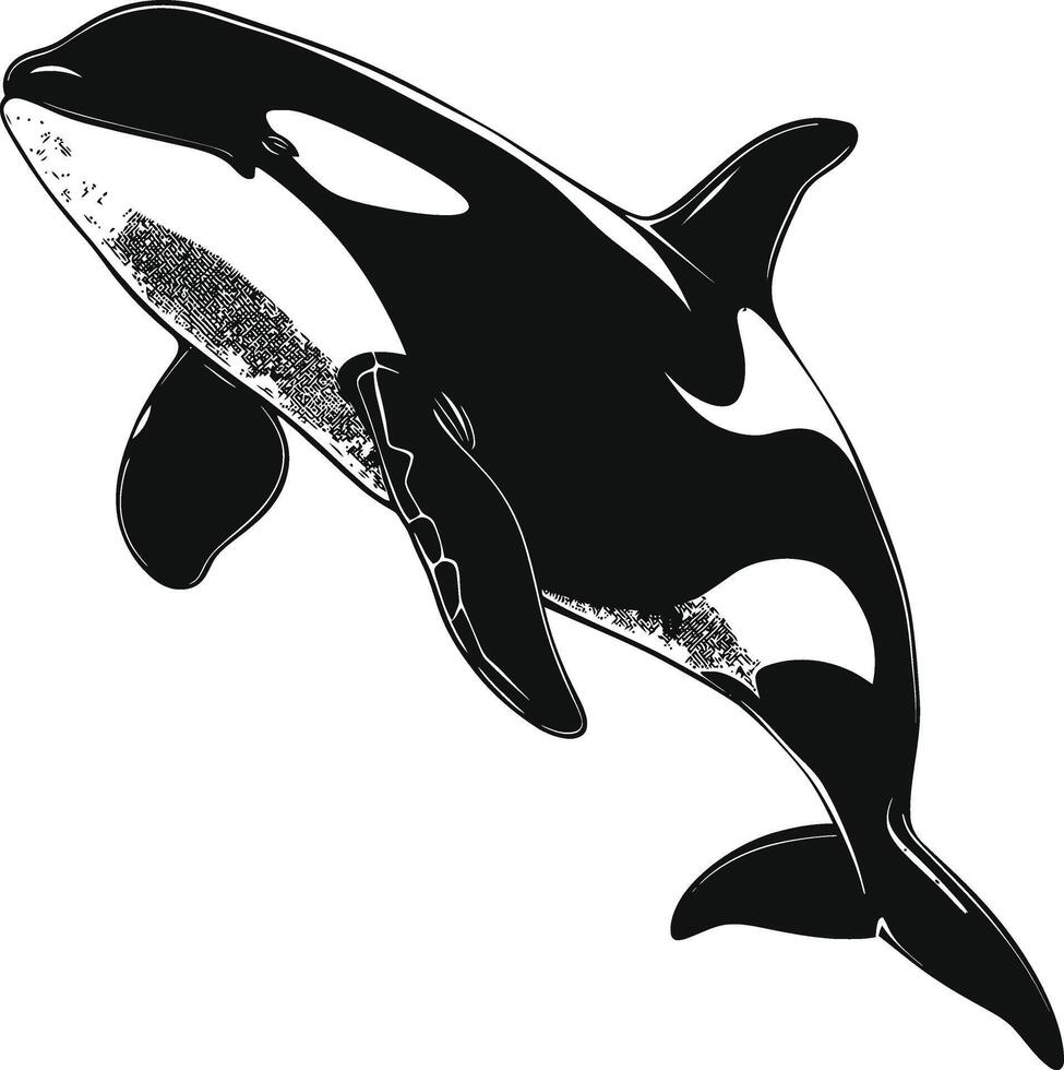 ai generado silueta el orca o asesino ballena negro color solamente vector