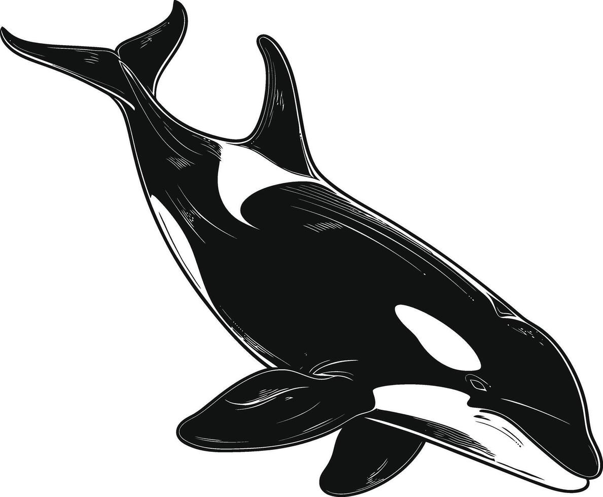 ai generado silueta el orca o asesino ballena negro color solamente vector