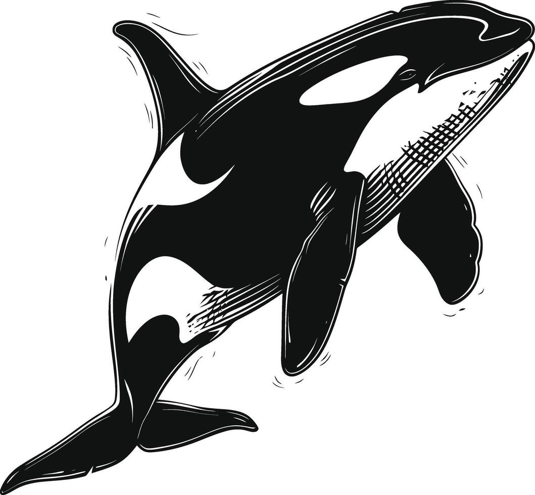 ai generado silueta el orca o asesino ballena negro color solamente vector