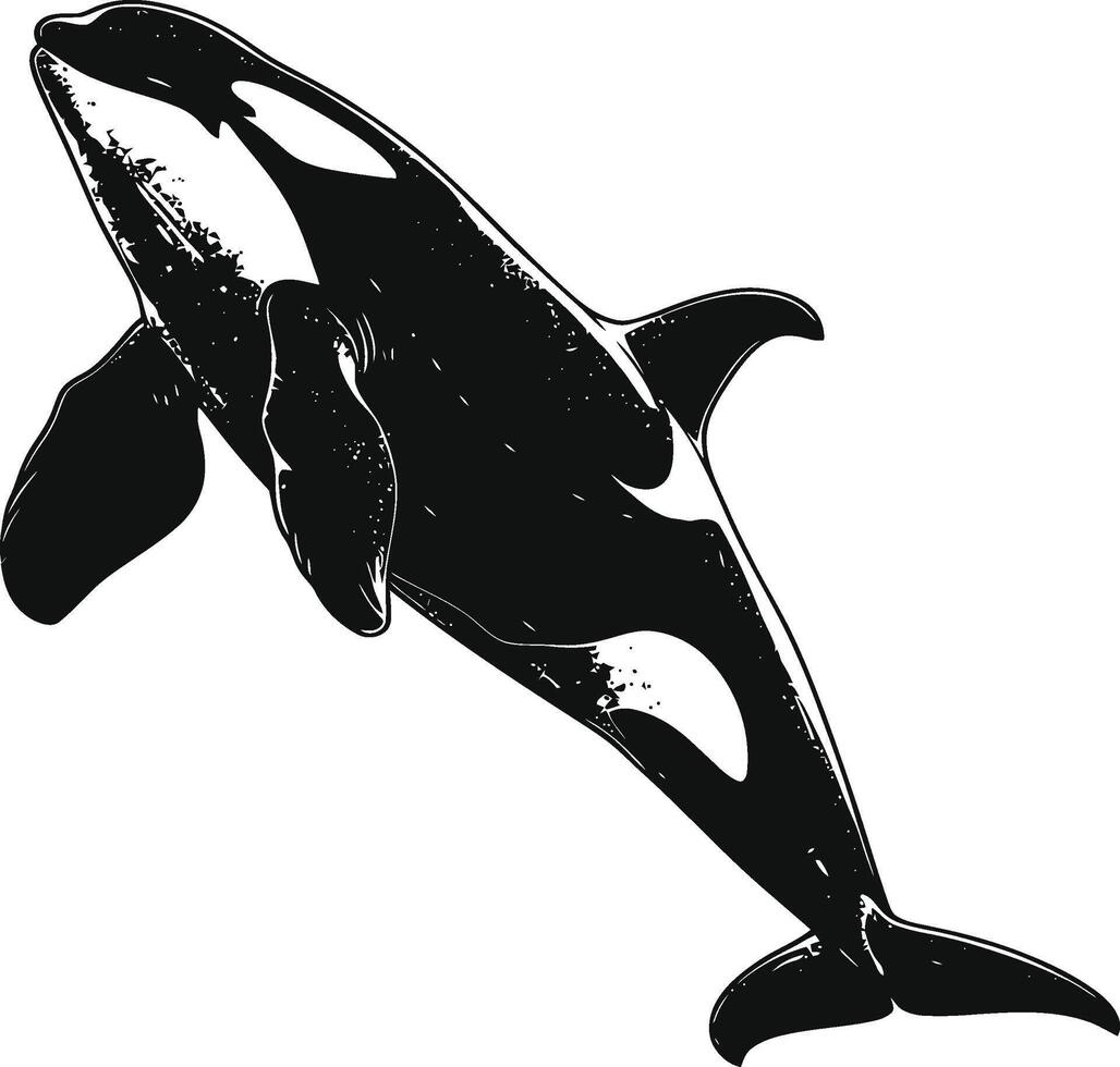 ai generado silueta el orca o asesino ballena negro color solamente vector