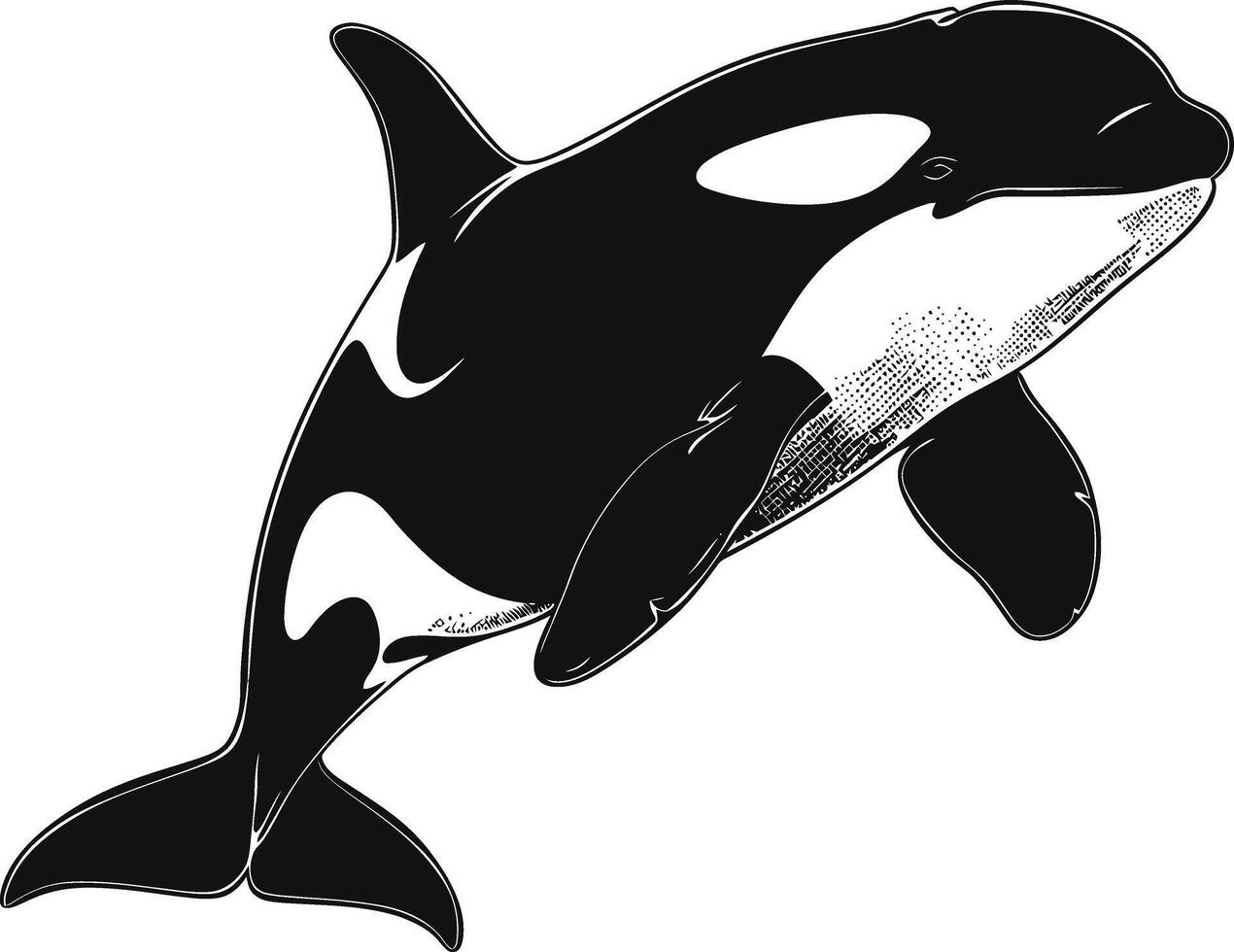 ai generado silueta el orca o asesino ballena negro color solamente vector