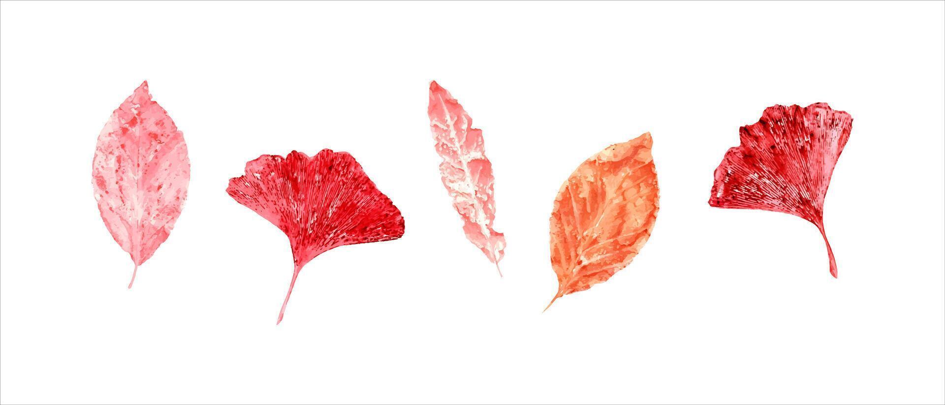 Set of autumn red pink leaves. Abstract leaf imprints. Fall dry leaves. Watercolor illustration of colorful leaf silhouettes for posters, texture, frame, cards vector