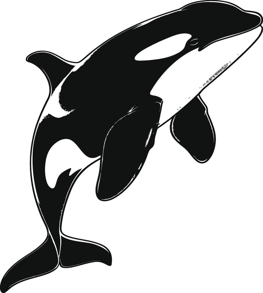 ai generado silueta el orca o asesino ballena negro color solamente vector