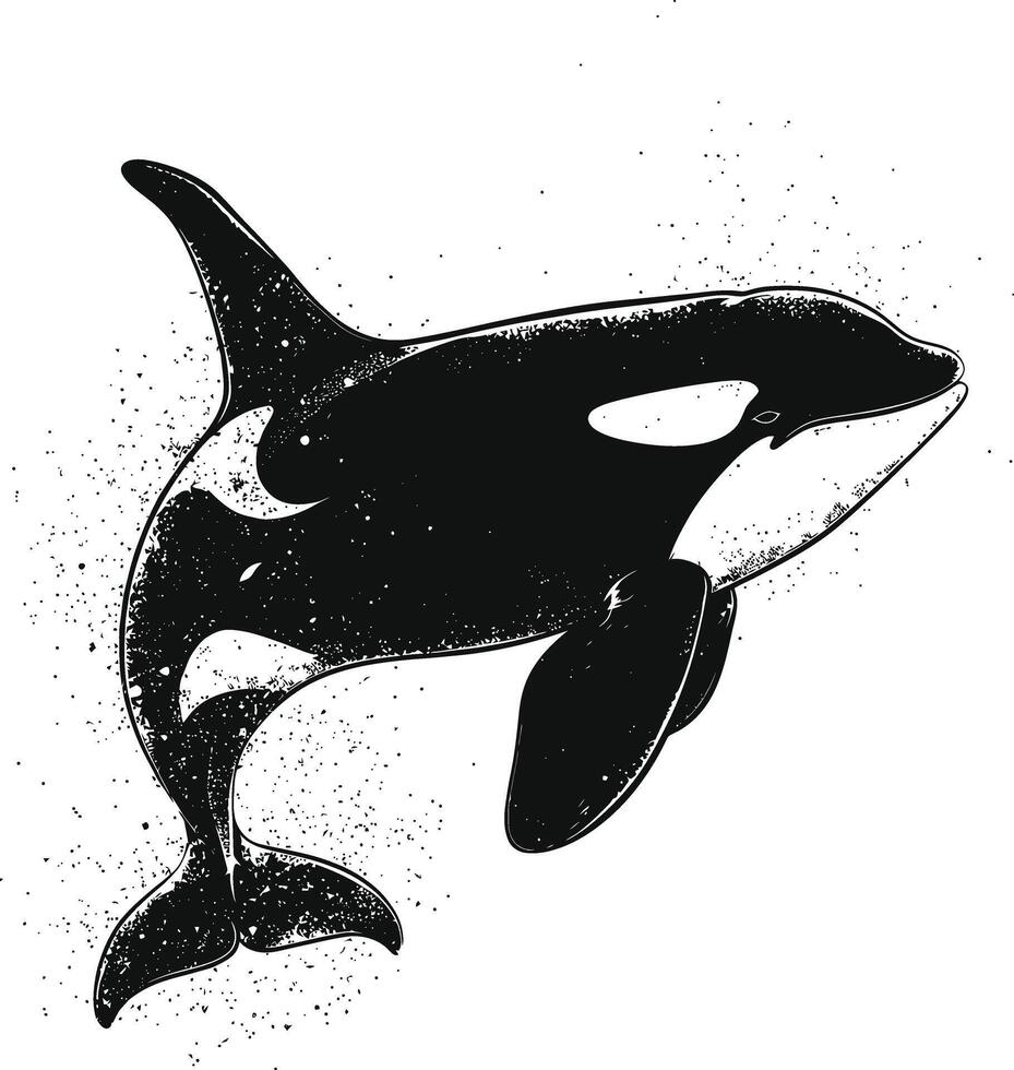 ai generado silueta el orca o asesino ballena negro color solamente vector