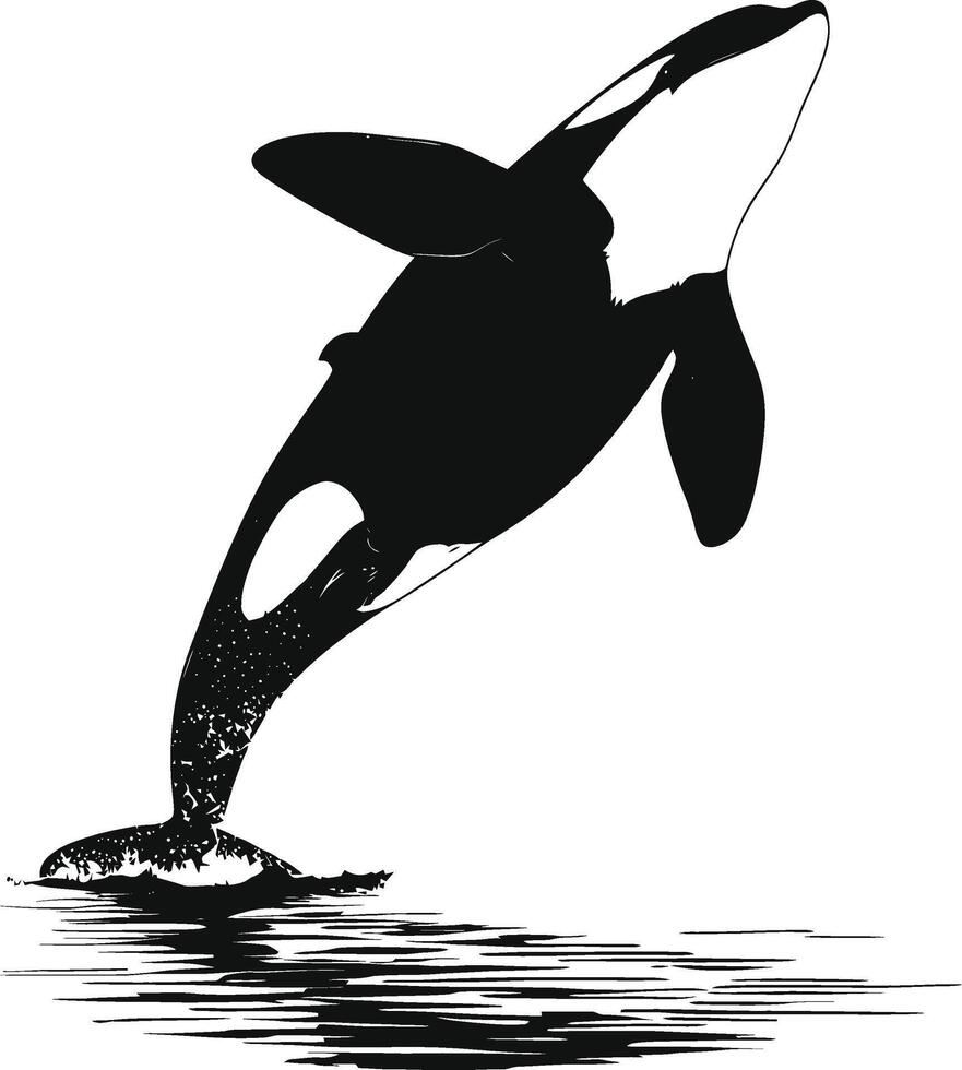 AI generated Silhouette the orca or killer whale black color only vector