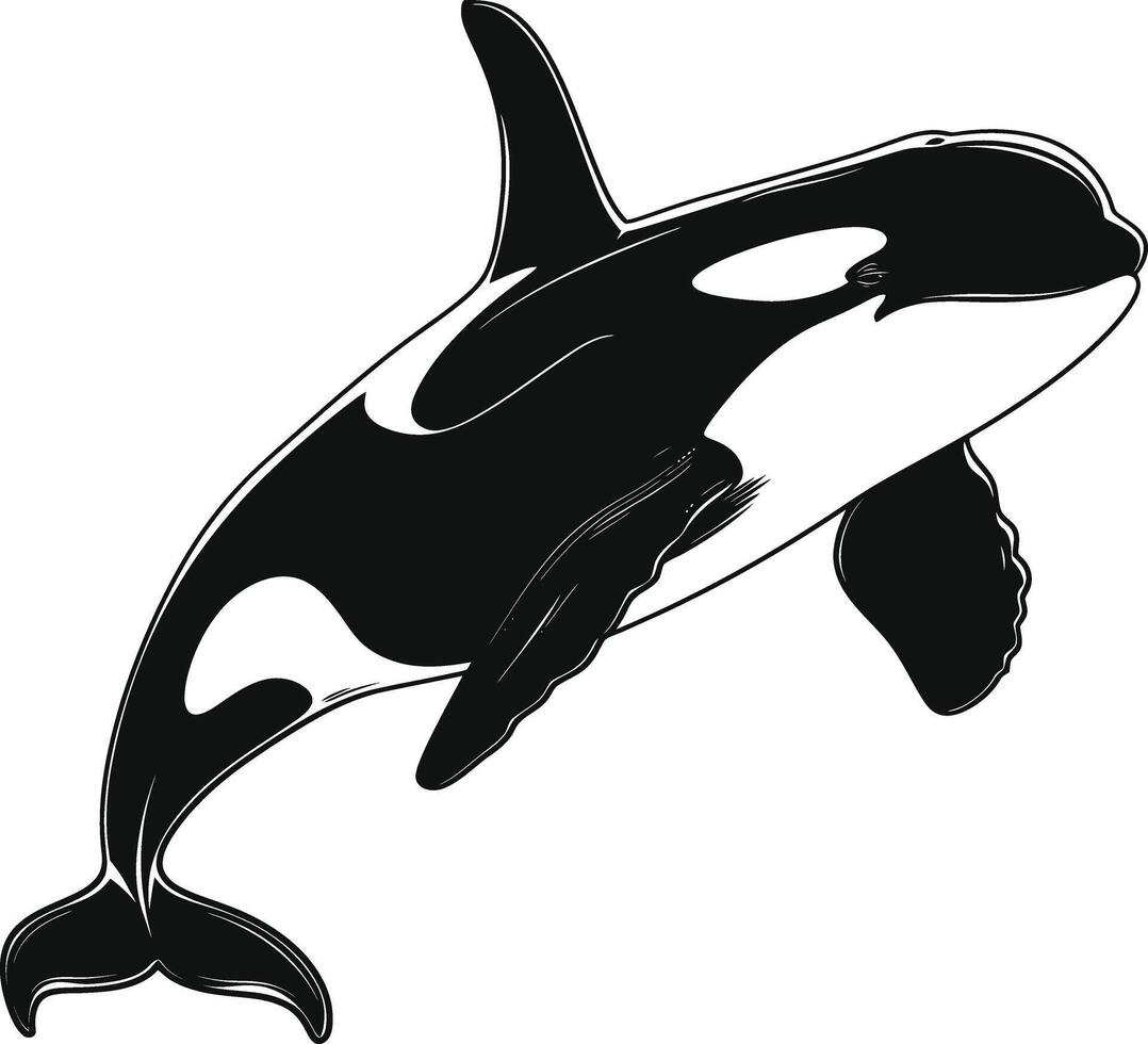 ai generado silueta el orca o asesino ballena negro color solamente vector