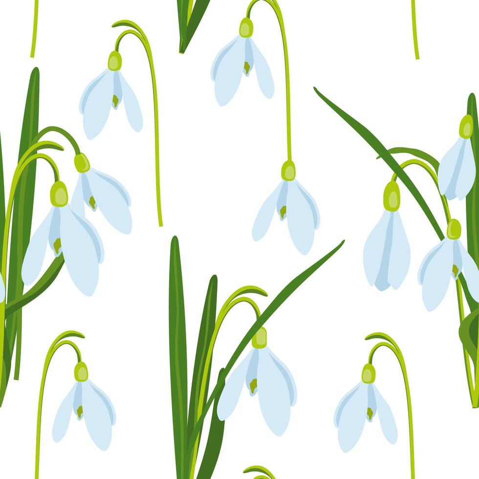 vector ilustración de Pascua de Resurrección tema, sin costura modelo con ramo de flores de primavera flores campanillas de invierno, blanco flores, brotes y hojas, primavera fiesta ilustración en blanco antecedentes