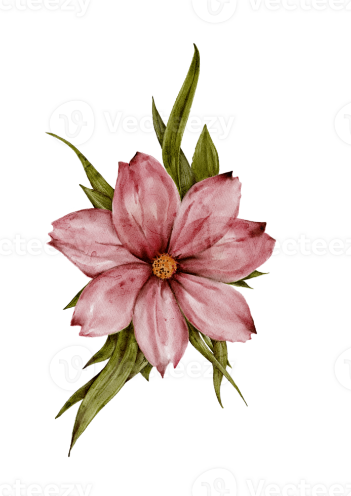 A decorative set of watercolor flowers, branches and leaves is highlighted on the main plan. For nature, eco and design. Hand-drawn plants, a frame for a spring postcard. png
