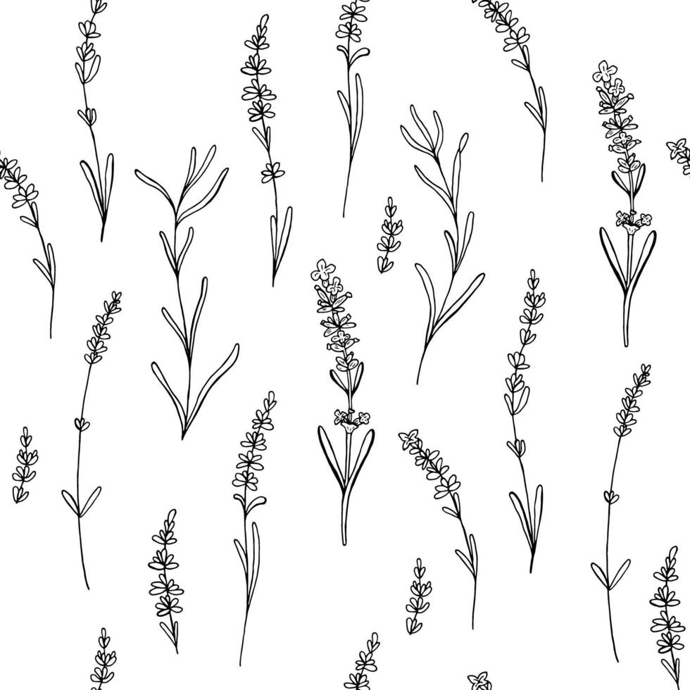 Lavender seamless pattern. Hand drawn print for fabric, textile, background, wallpapers vector