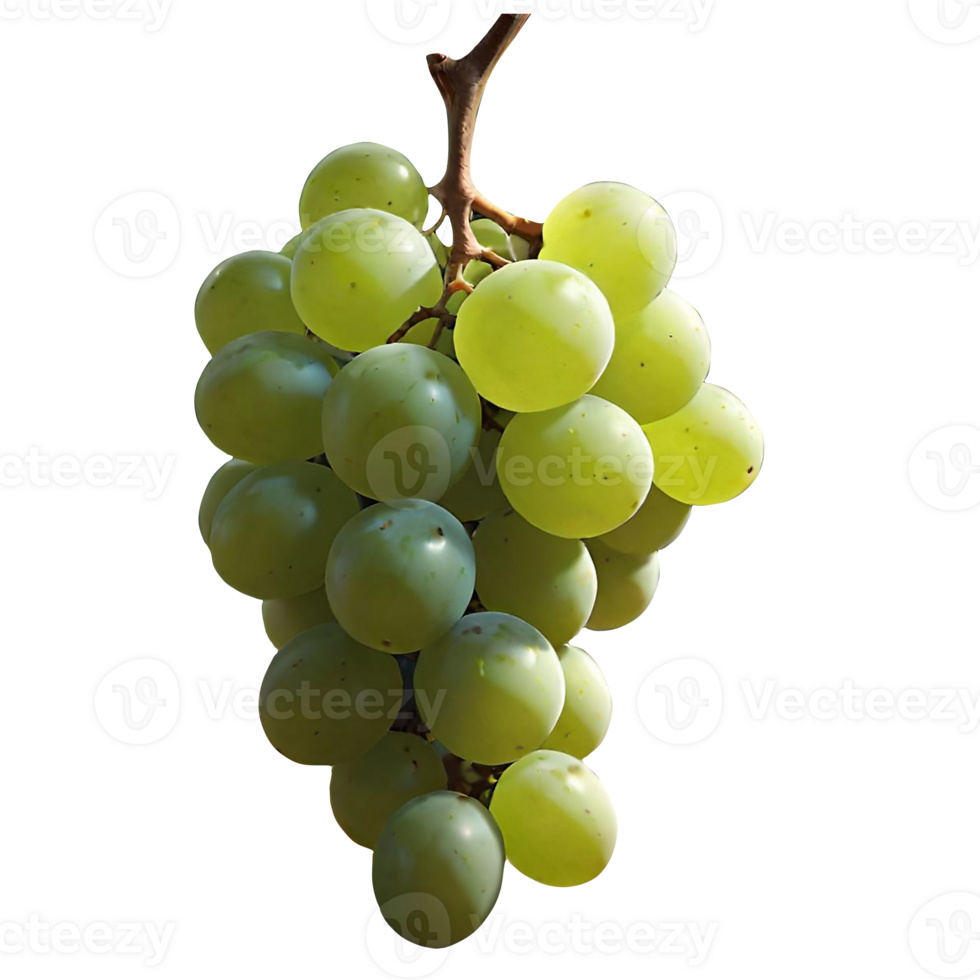 AI generated Sweet grape illustration png