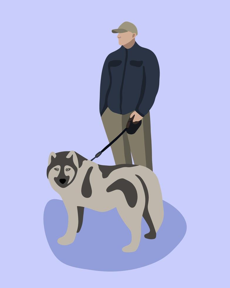 Vector isolated illustration of a man walking a husky dog.
