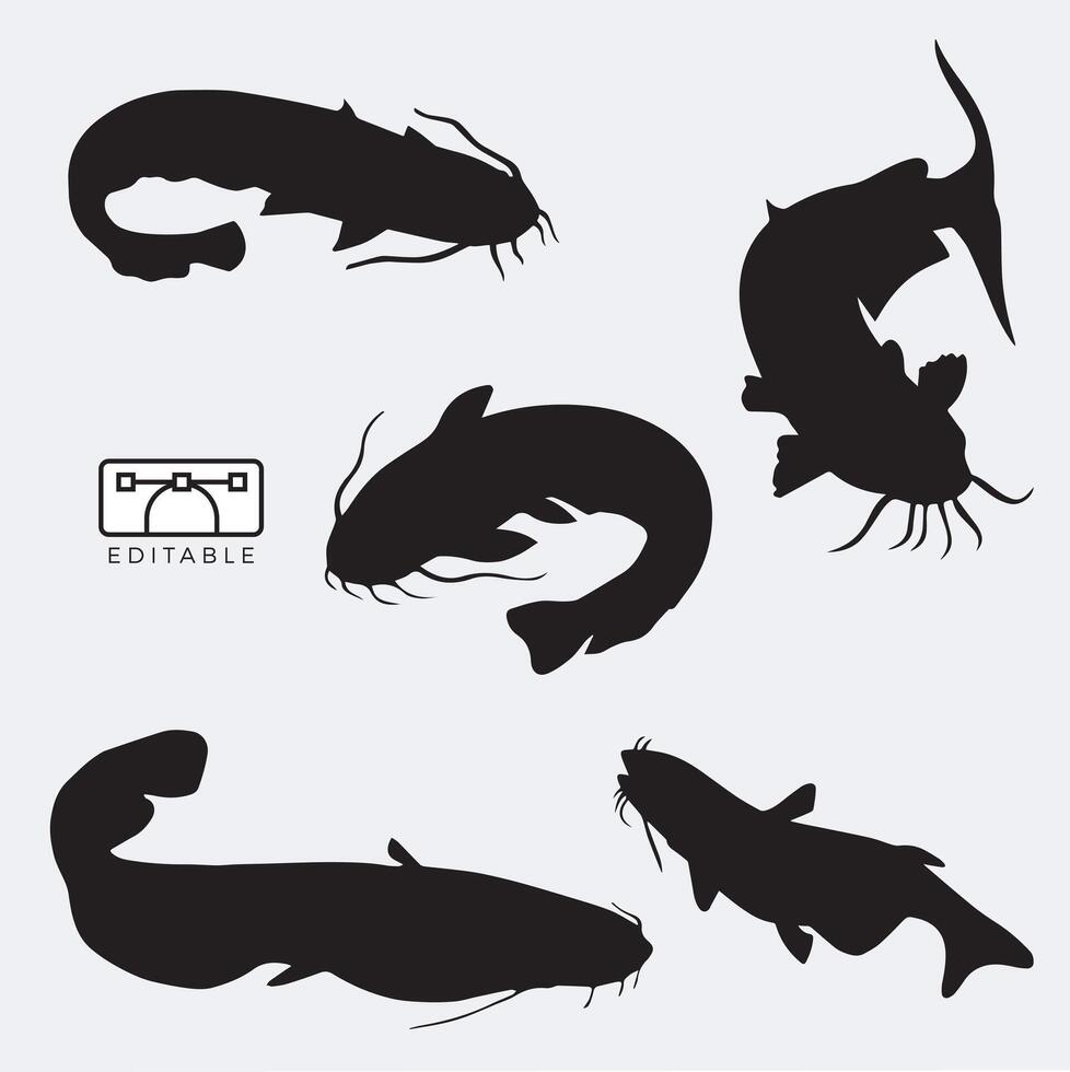 vector catfish silhouette black and white illustration