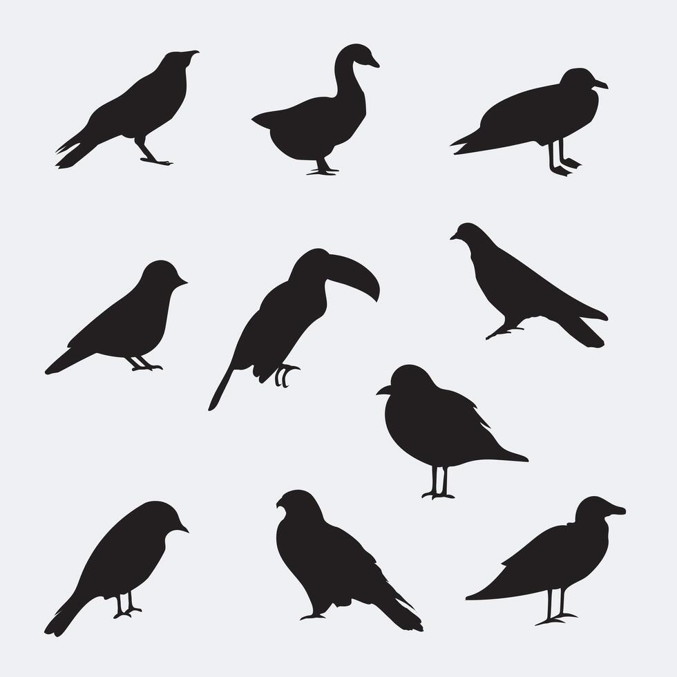 10 bird silhouette premium collection vector