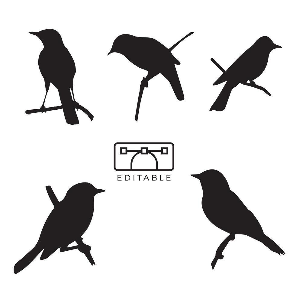 birds species silhouette vector