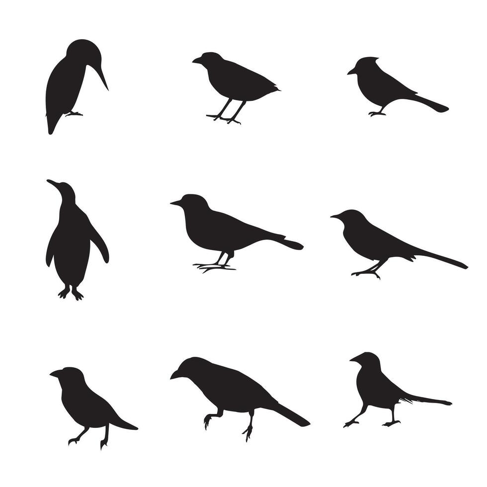 9 bird silhouette premium vector set