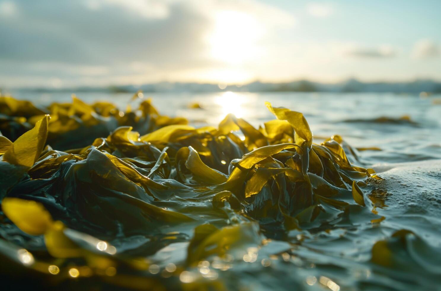 ai generado iluminado algas marinas a amanecer foto