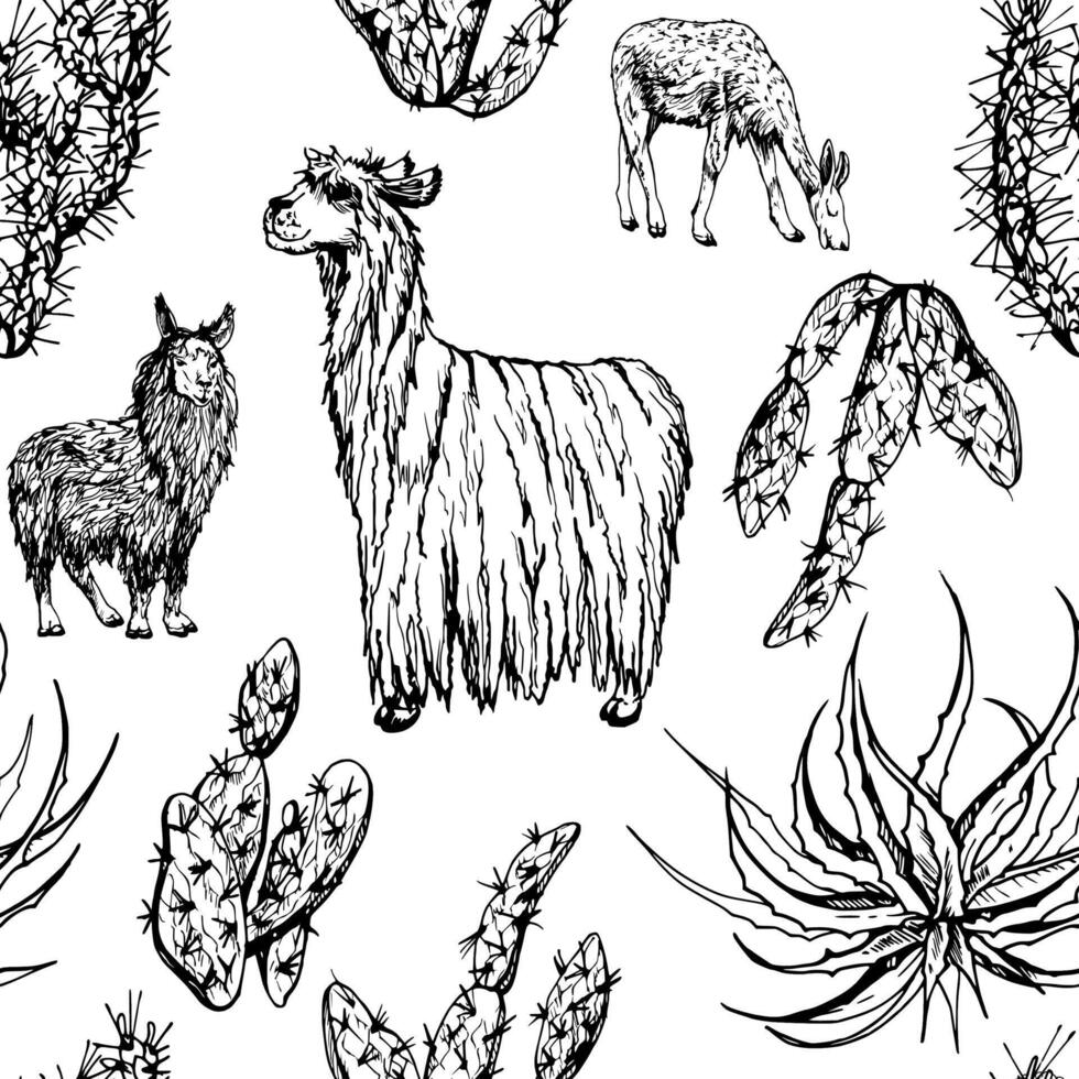 Hand drawn ink vector illustration, nature desert plant succulent cactus aloe agave, llama alpaca wool animals. Seamless pattern isolated on white background. Design travel, vacation, brochure, print