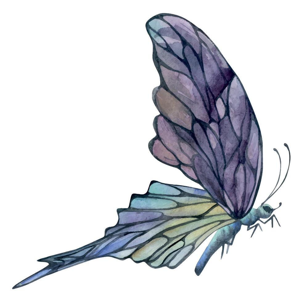 mano dibujado acuarela ilustración mariposa hada alas joya cristal insecto polilla. amatista ópalo piedra de la luna fluorita perla. soltero objeto aislado blanco antecedentes. diseño imprimir, comercio, boda, cumpleaños vector