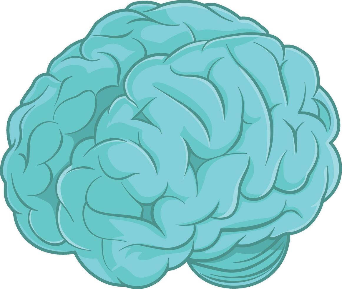 vector drawing of a brain without background