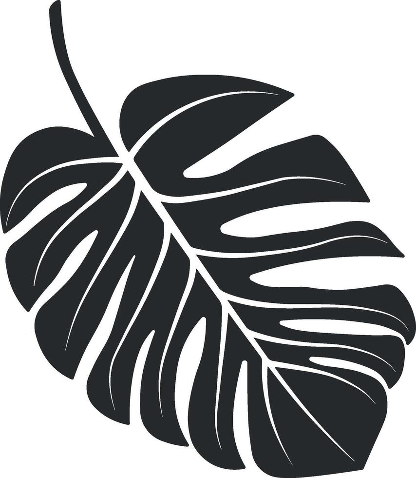 Monstera flower leaf without background vector