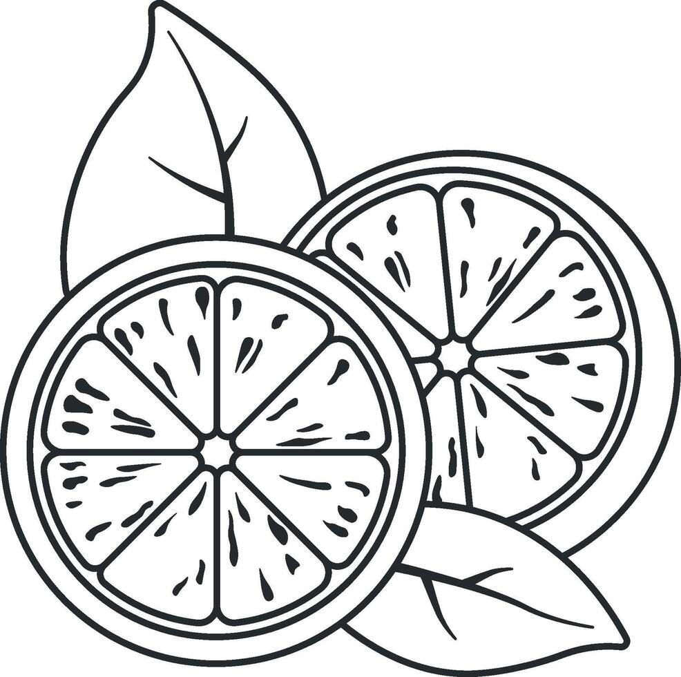 black and white lemon drawing without background vector