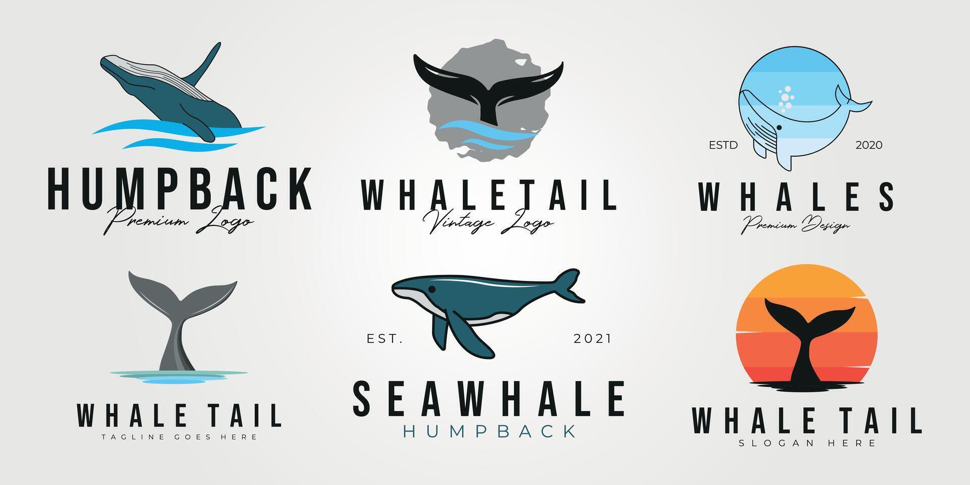whale and whale tail set logo vector illustration design collection of icon, sign, and symbol