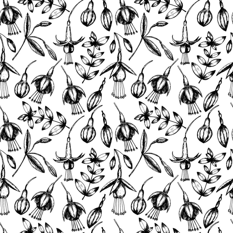 Vector fuchsia flowers seamless pattern. Hand drawn fuchsia flowers pattern on white background