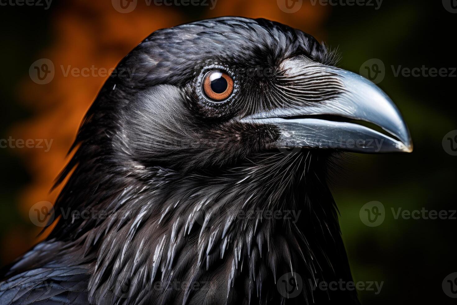 AI generated Intricate Raven closeup. Generate Ai photo