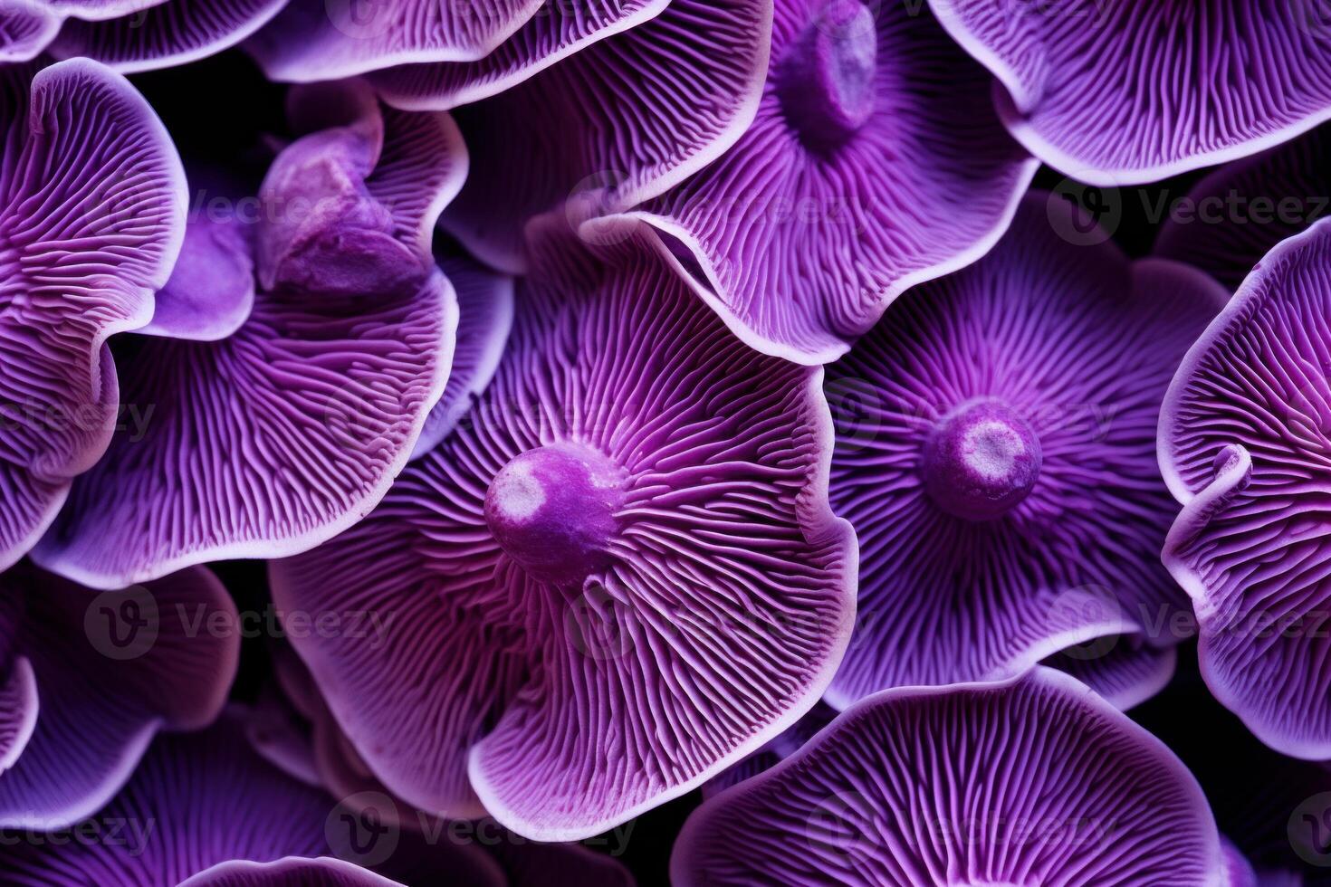 AI generated Purple macro closeup mushrooms. Generate Ai photo