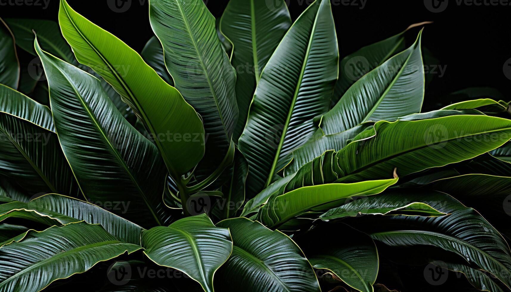 AI generated Freshness of nature in vibrant green, tropical rainforest growth generated by AI photo