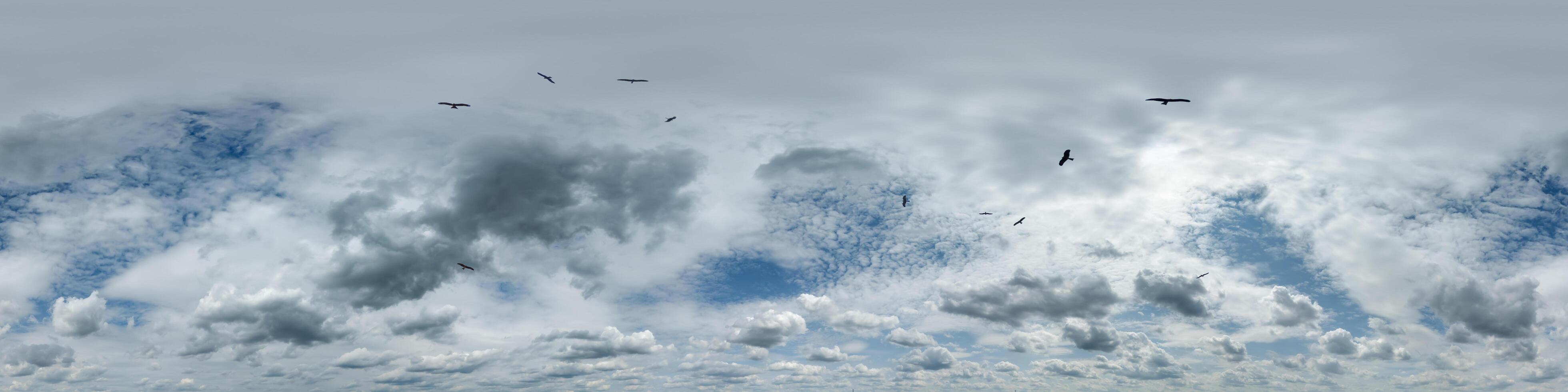 seamless cloudy blue skydome 360 hdri panorama view with flock of birds in awesome clouds with zenith for use in 3d graphics or game as sky dome or edit drone shot photo