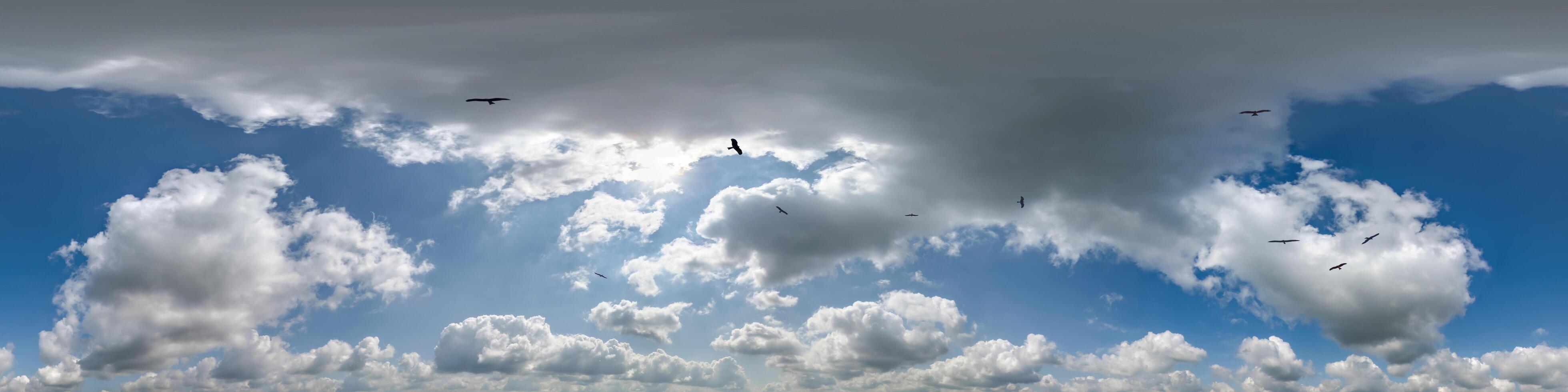 seamless cloudy blue skydome 360 hdri panorama view with flock of birds in awesome clouds with zenith for use in 3d graphics or game as sky dome or edit drone shot photo